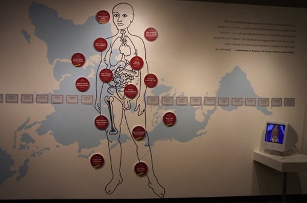 Cell Track: Mapping the Appropriation of Life Materials, subRosa, Chicago 2004