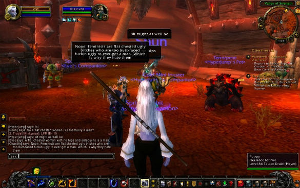 Angela Washko, "The Council on Gender Sensitivity and Behavioral Awareness in World of Warcraft", 2012, Screenshot