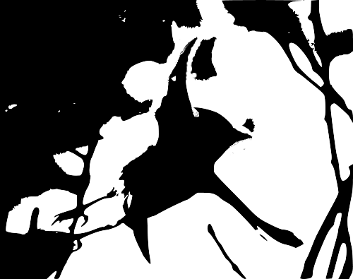 blk'n'wht-contrast
